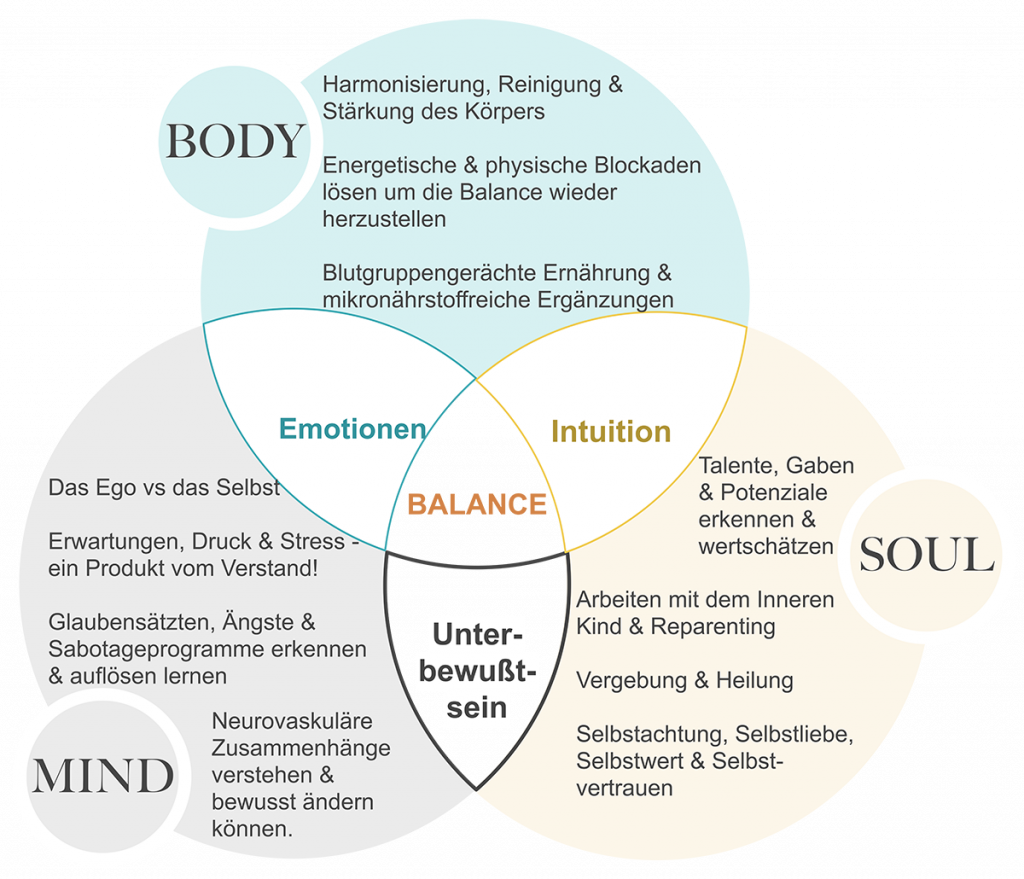 VEEN-Diagramm über die Heilung von Körper Geist Seele 